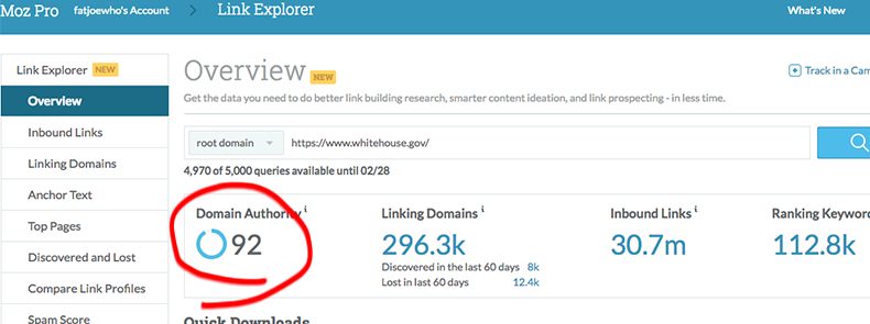 Screenshot highlighting Domain Authority in Moz
