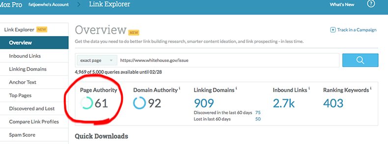 Moz Page Authority metric example