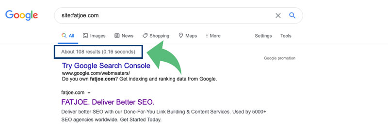 An image showing the results from a simple Google indexing check