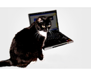 WEB HOSTING CAT logo
